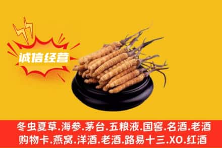 邢台清河县回收冬虫夏草